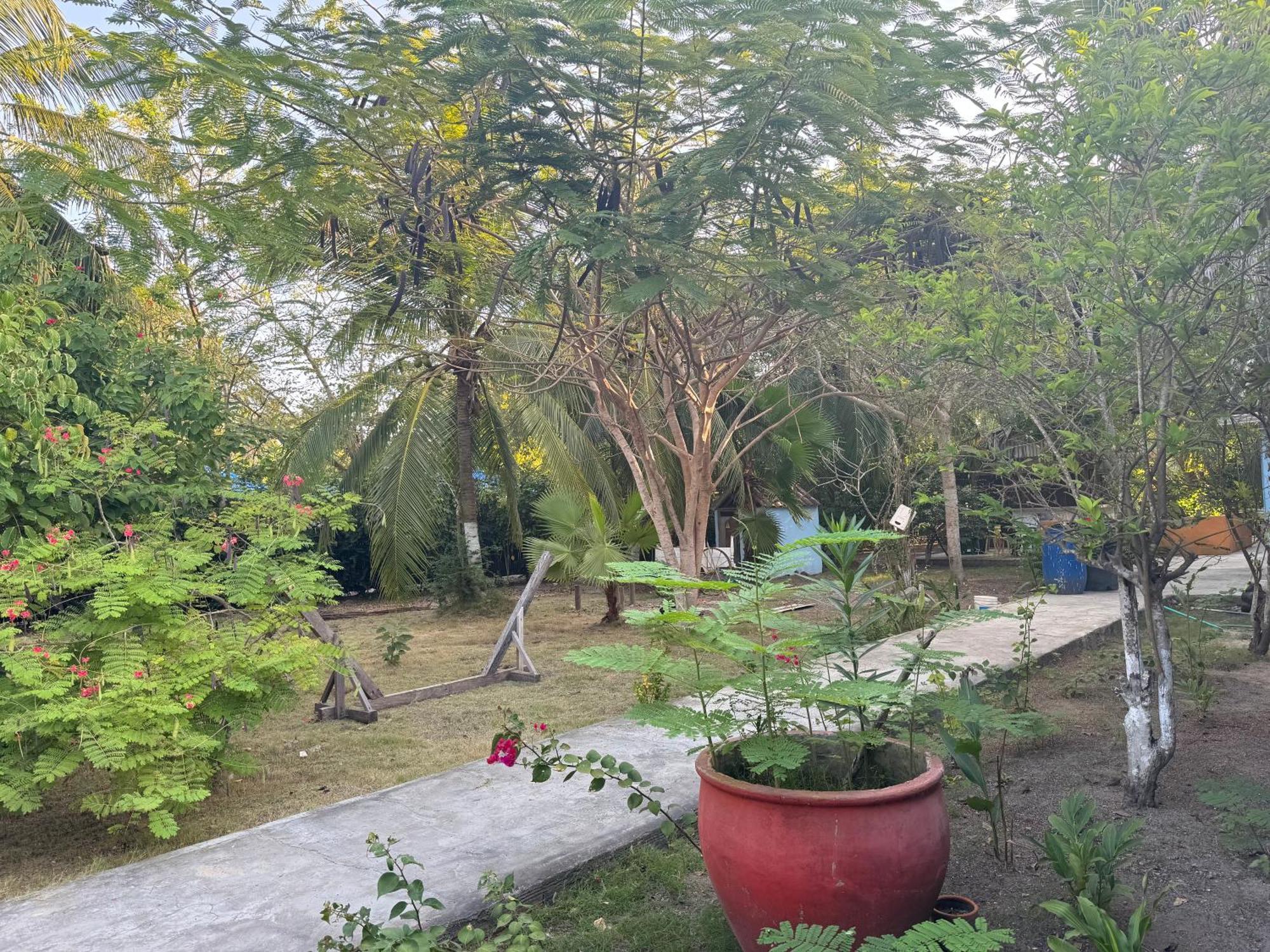 Casa Lolas House By Ctglifetravelers إيسلا غراندي المظهر الخارجي الصورة